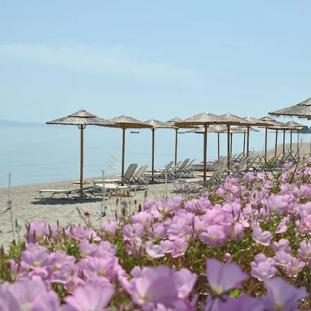 Willa Houseloft Horizon Seafront *