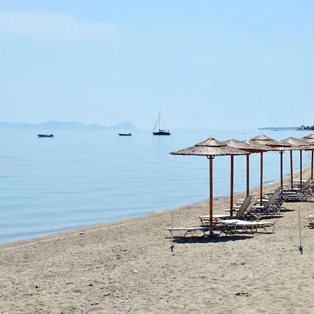 Houseloft Horizon Seafront *